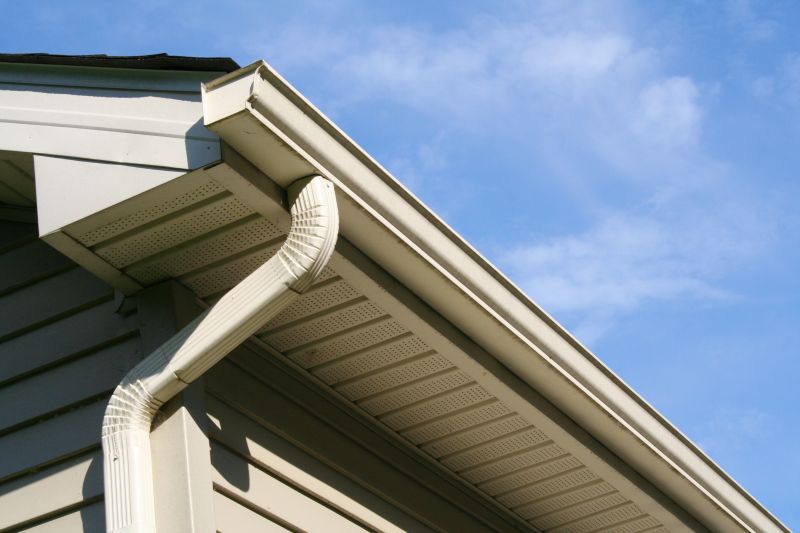 Gutter System Inspection