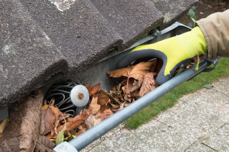 Seasonal Gutter Checks
